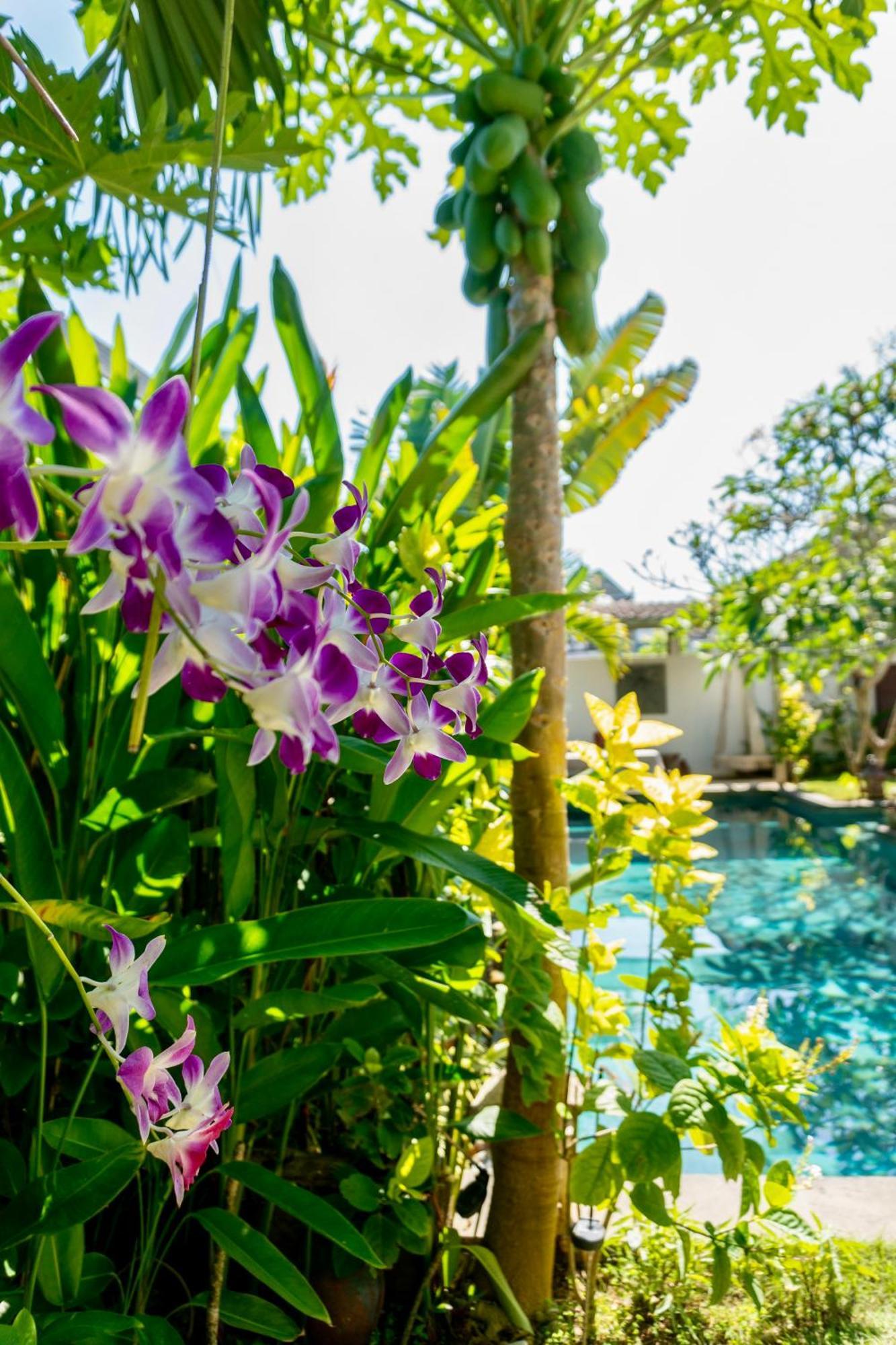 Damai Uluwatu Hotel Exterior photo